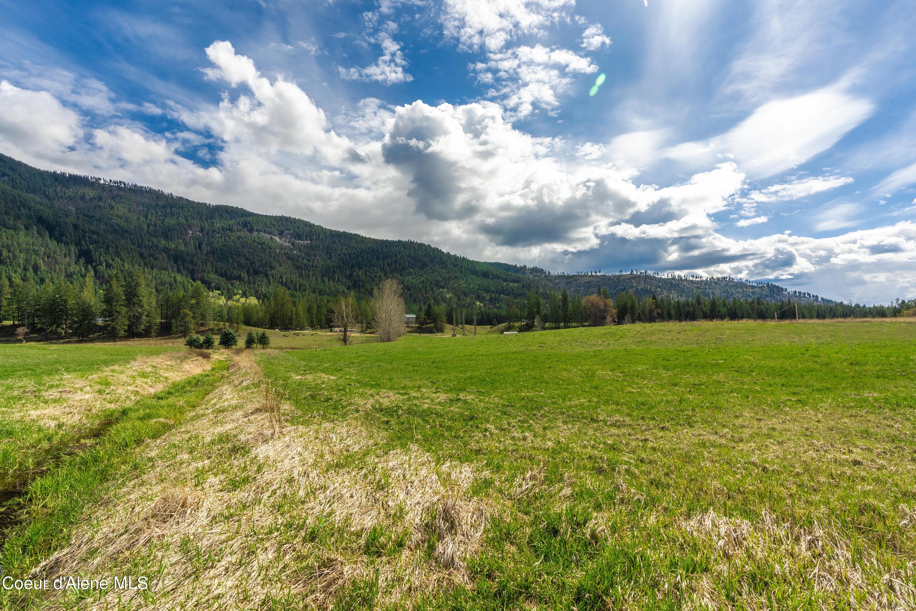 NNA Paradise Valley, Bonners Ferry, Idaho image 8