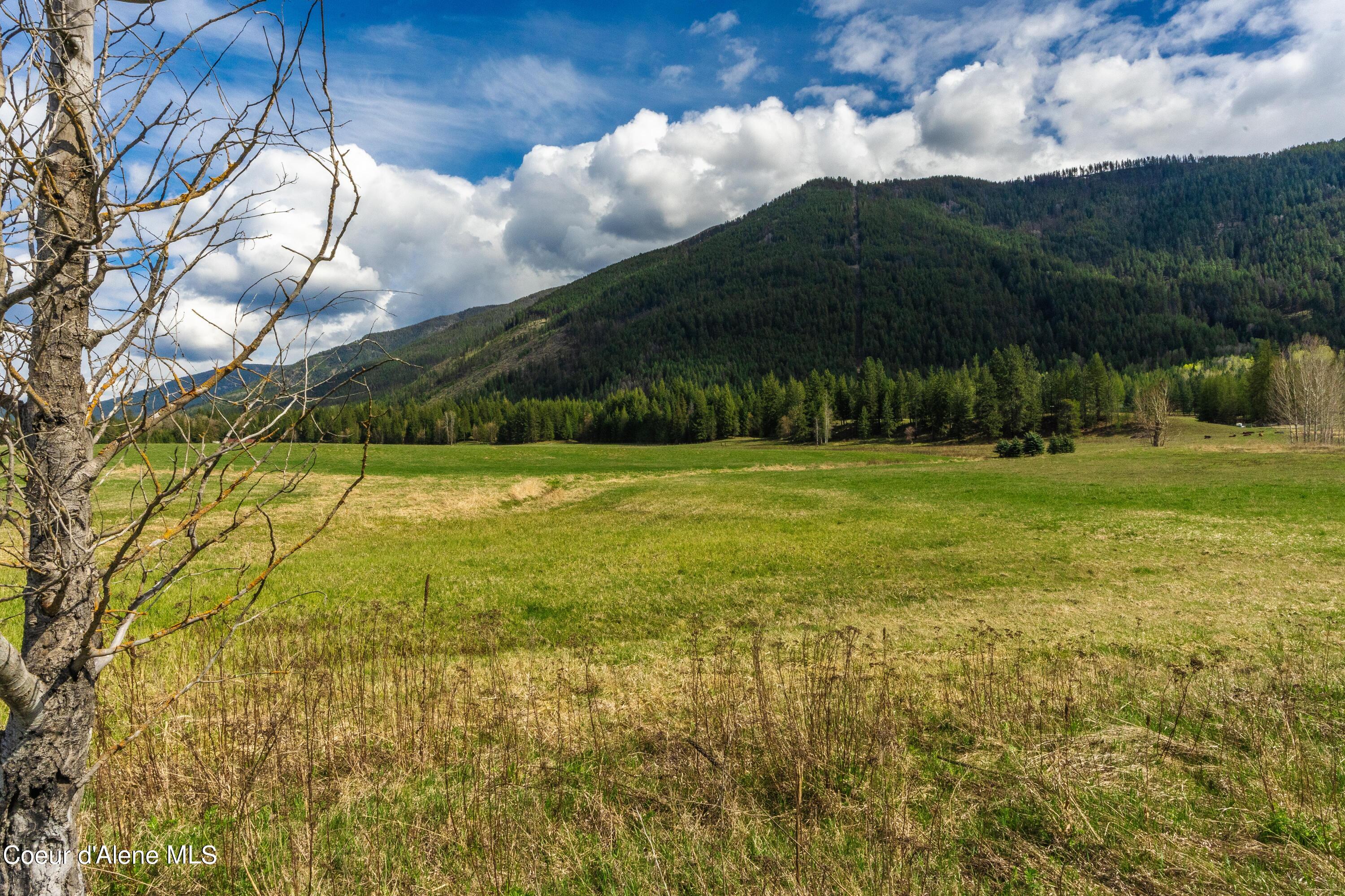 NNA Paradise Valley, Bonners Ferry, Idaho image 7