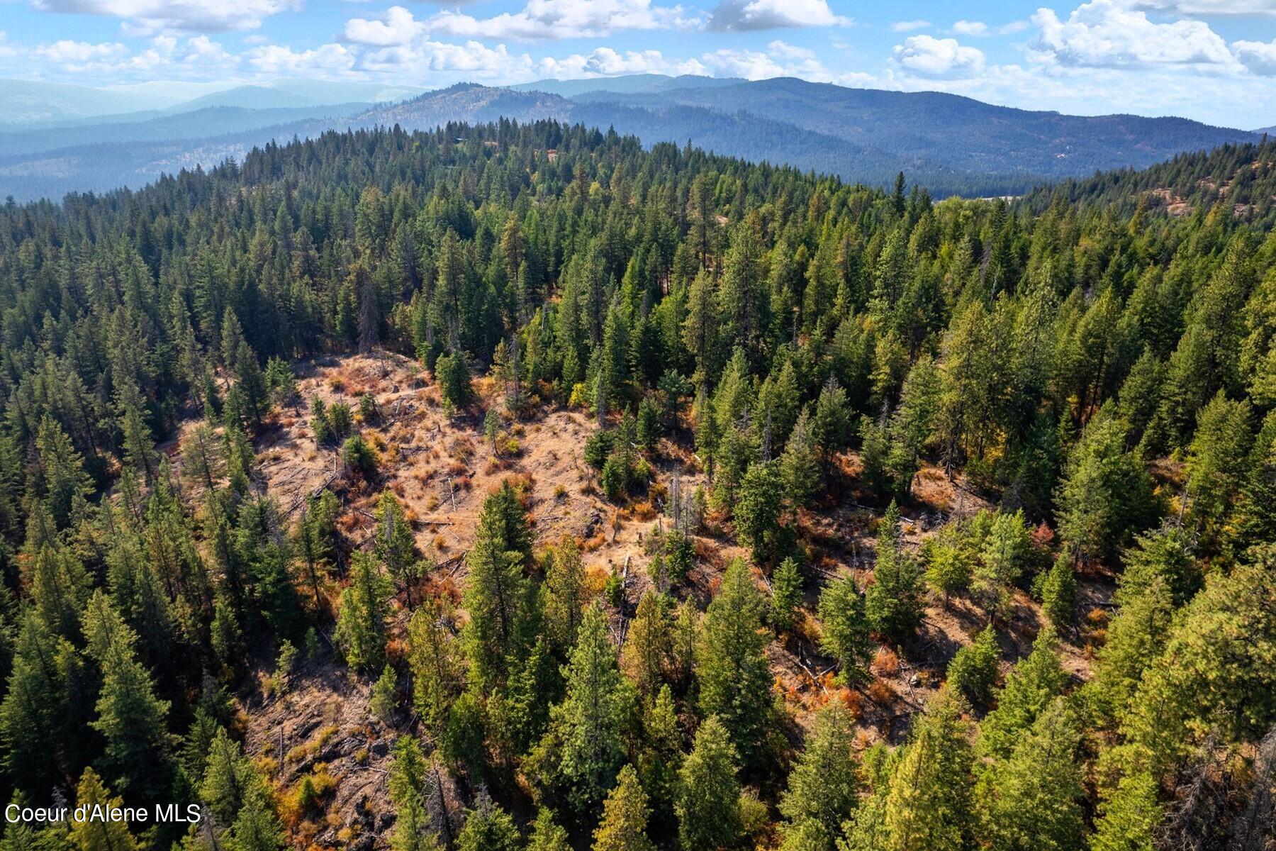 NNA Horn Mountain, Priest River, Idaho image 12