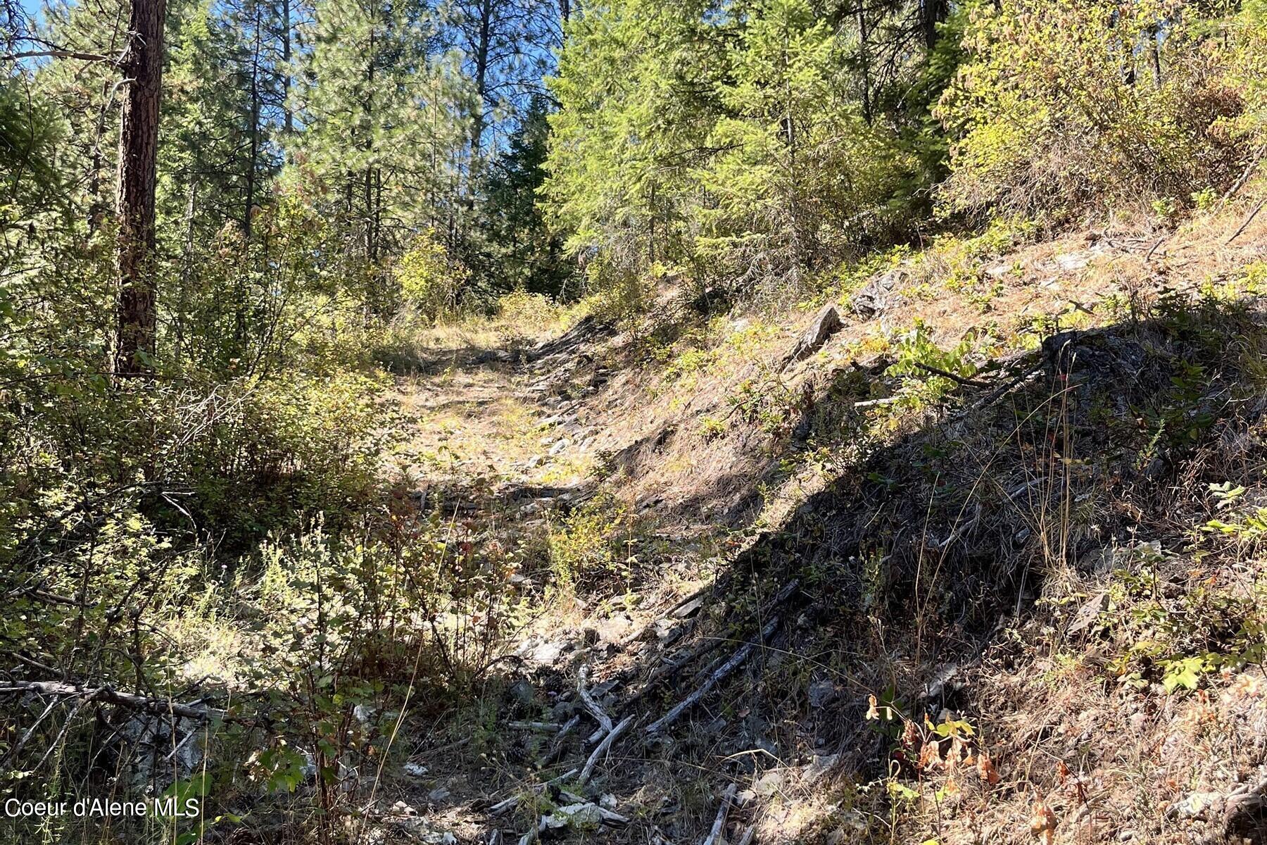 NNA Horn Mountain, Priest River, Idaho image 5