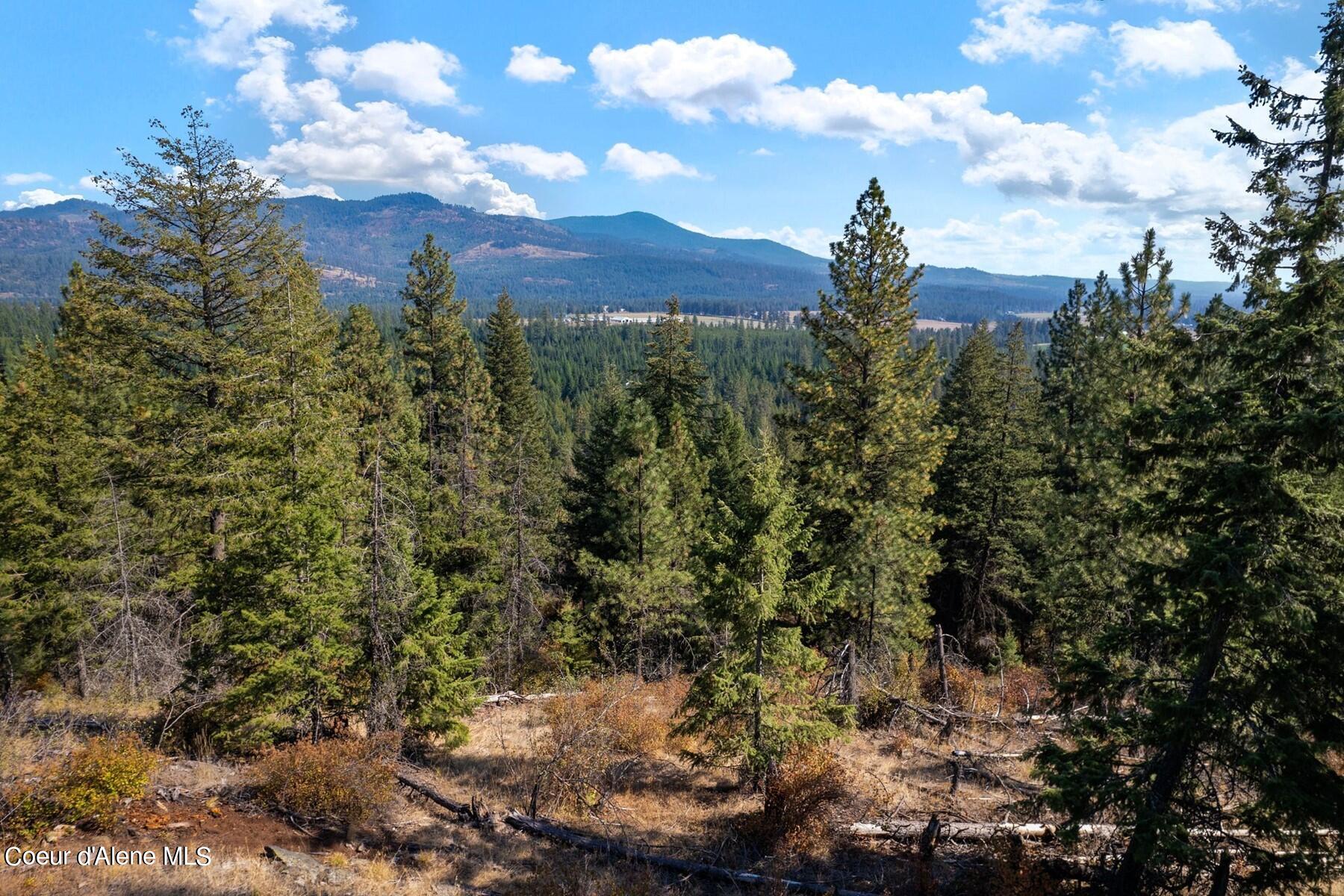 NNA Horn Mountain, Priest River, Idaho image 1