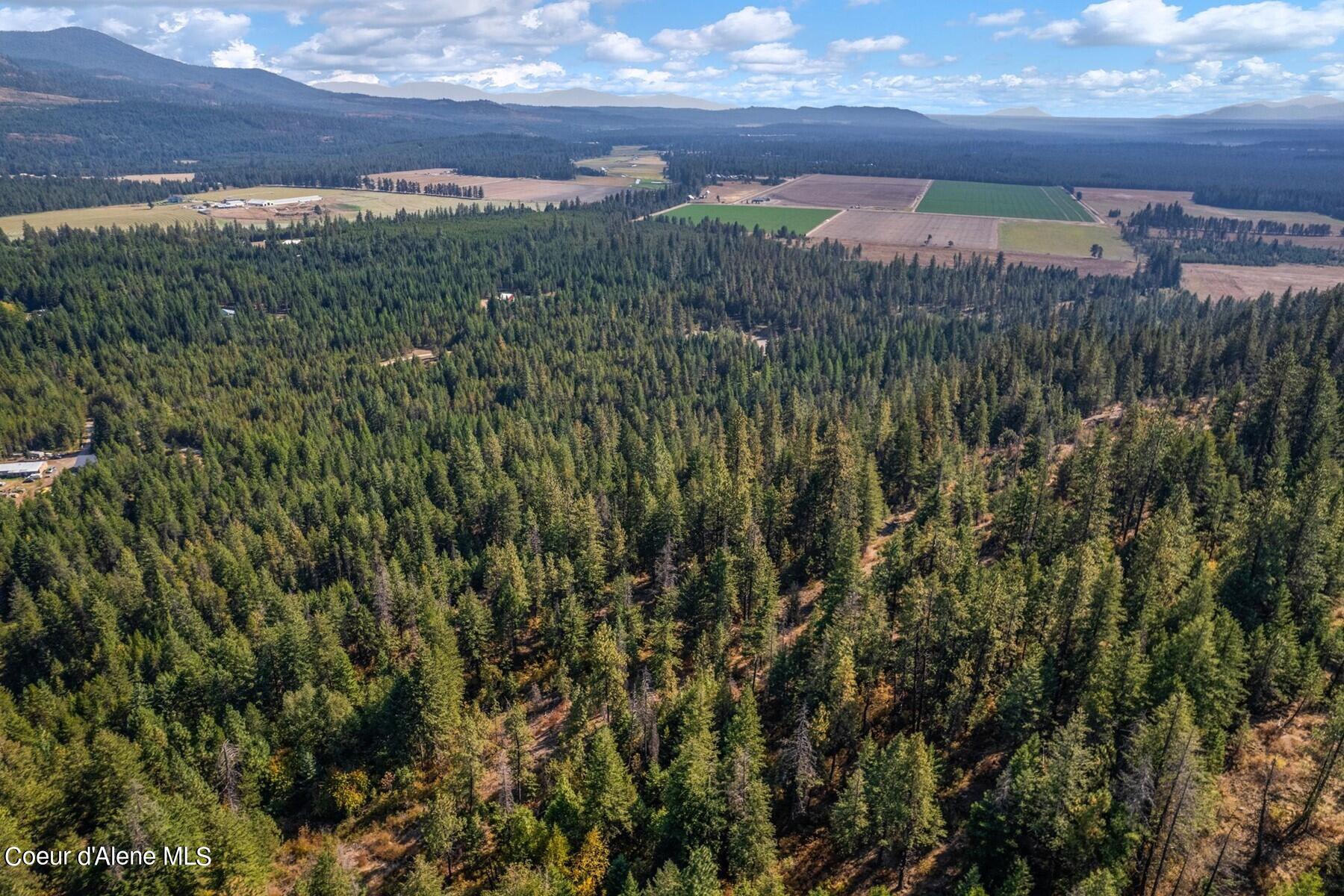 NNA Horn Mountain, Priest River, Idaho image 14