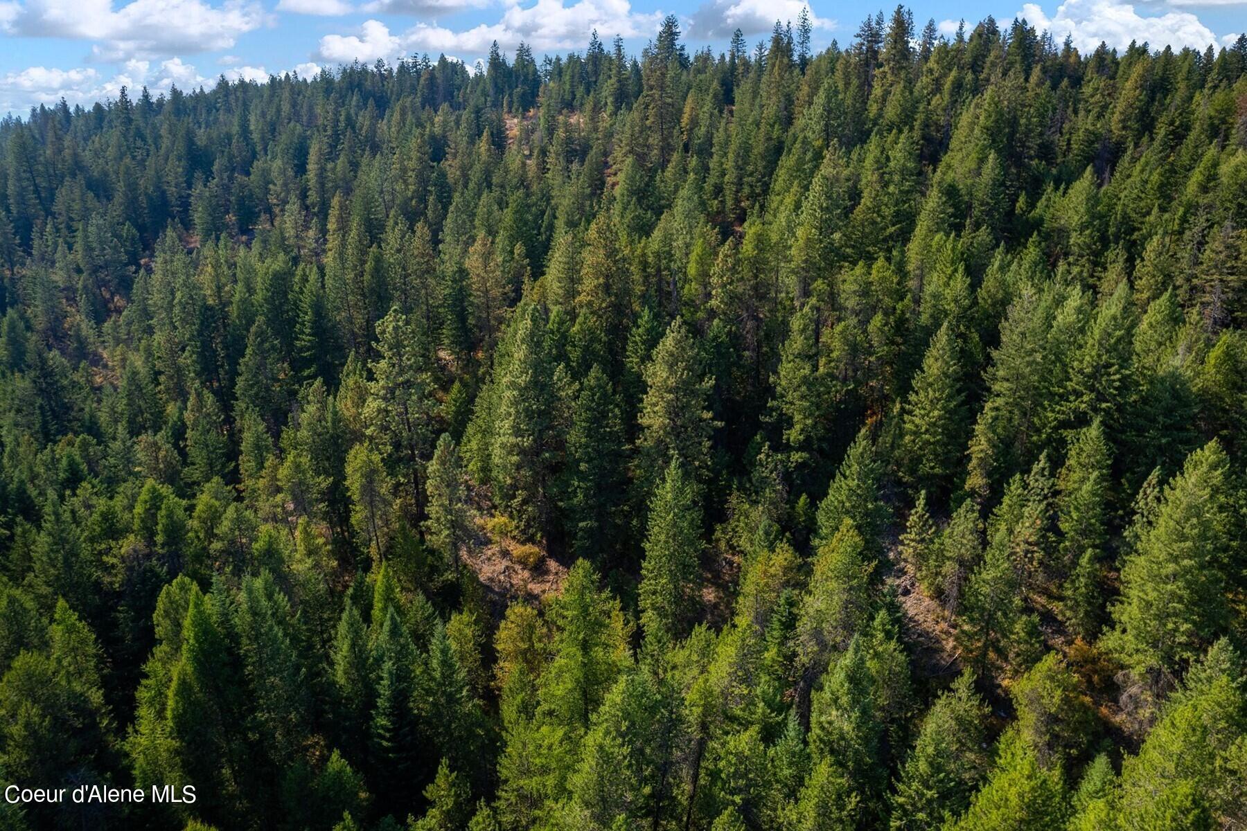 NNA Horn Mountain, Priest River, Idaho image 13