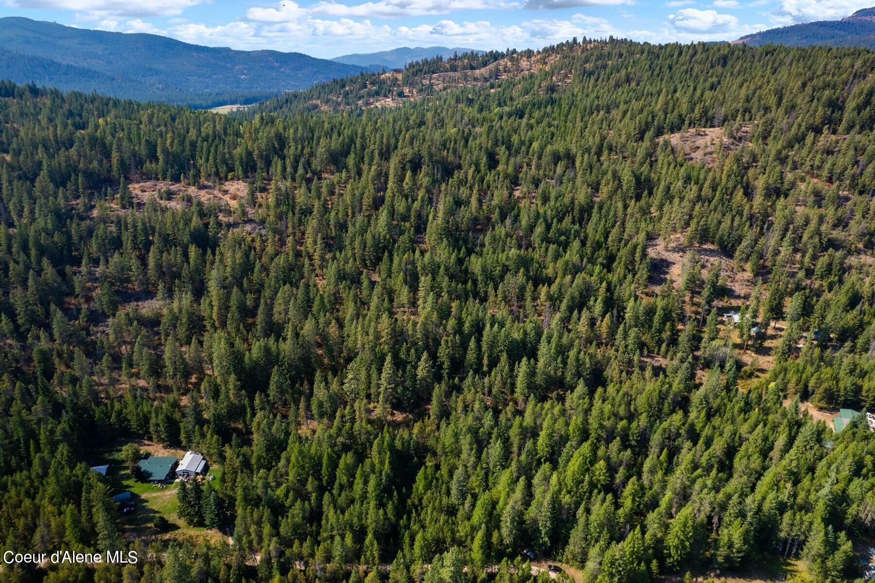 NNA Horn Mountain, Priest River, Idaho image 15