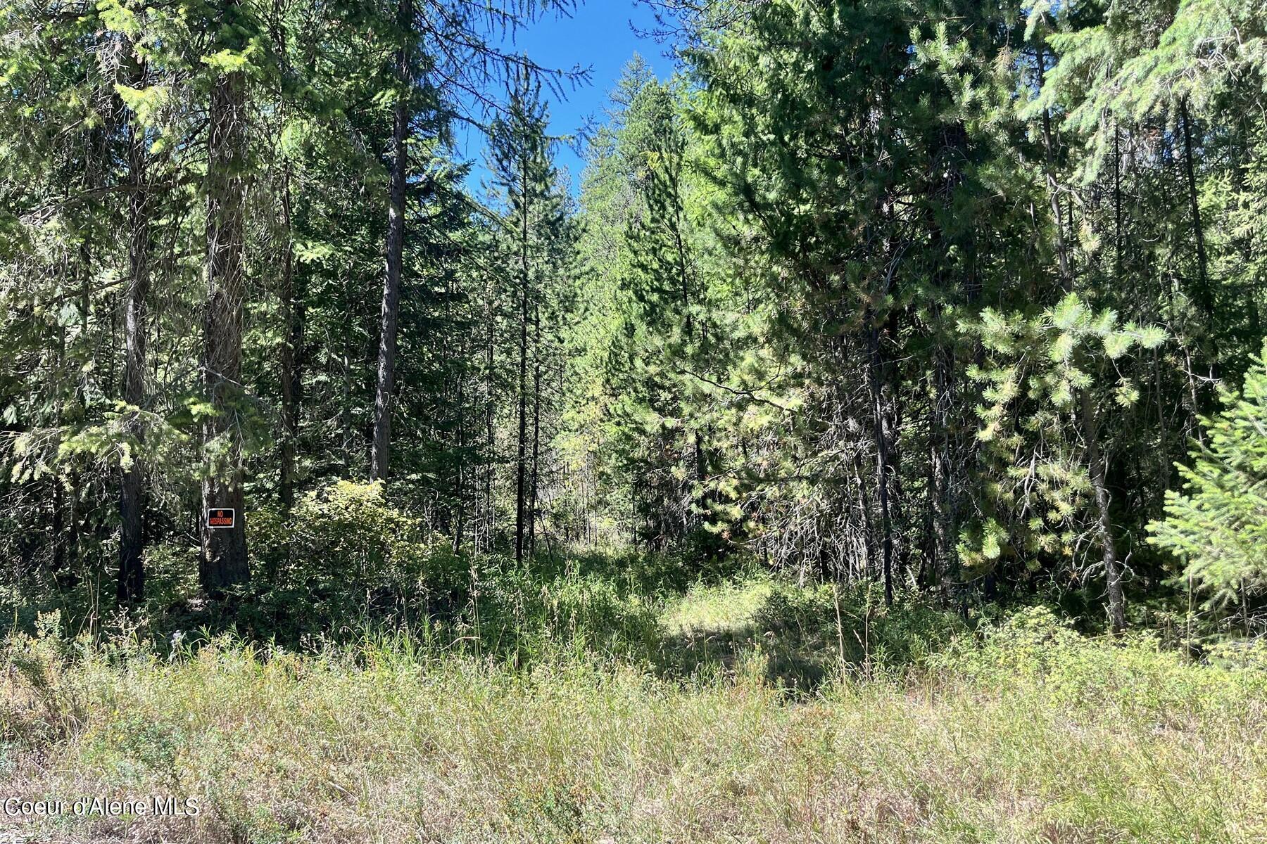 NNA Horn Mountain, Priest River, Idaho image 3