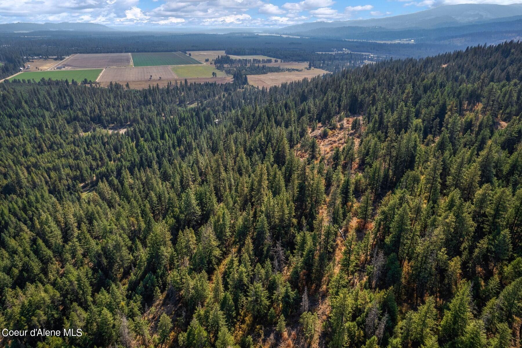 NNA Horn Mountain, Priest River, Idaho image 8