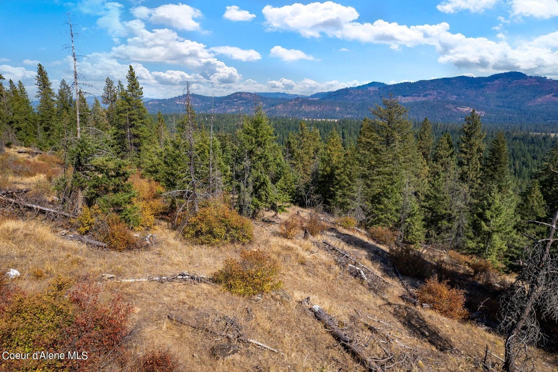 NNA Horn Mountain, Priest River, Idaho image 11