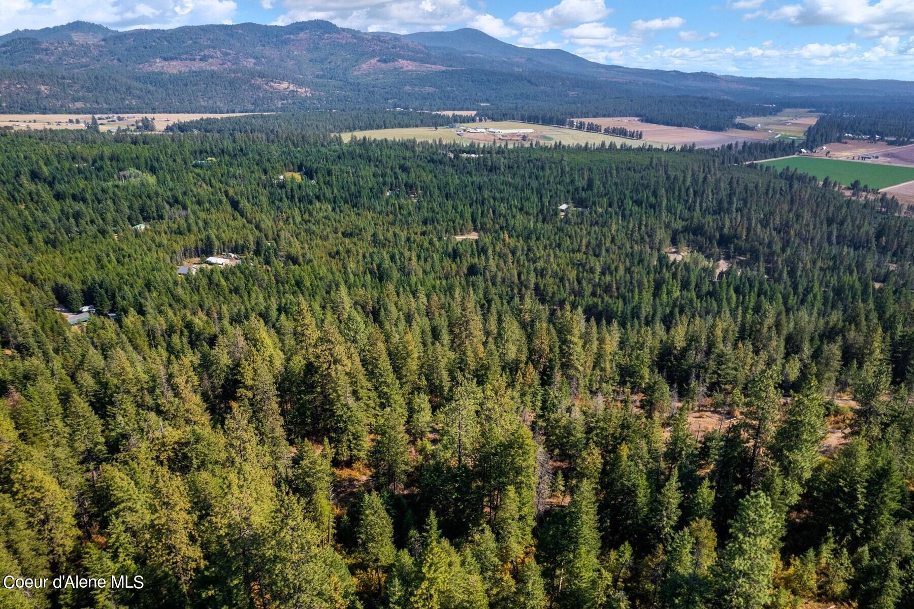 NNA Horn Mountain, Priest River, Idaho image 10