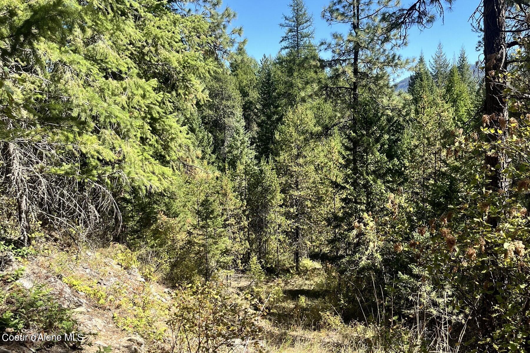 NNA Horn Mountain, Priest River, Idaho image 6