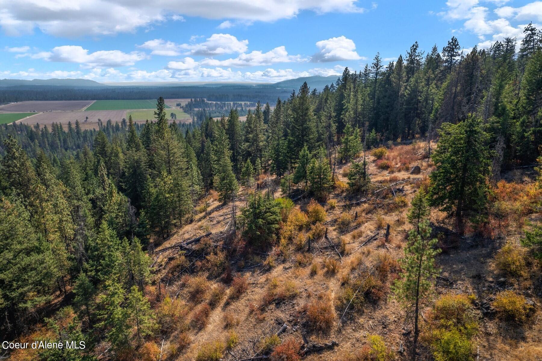 NNA Horn Mountain, Priest River, Idaho image 9