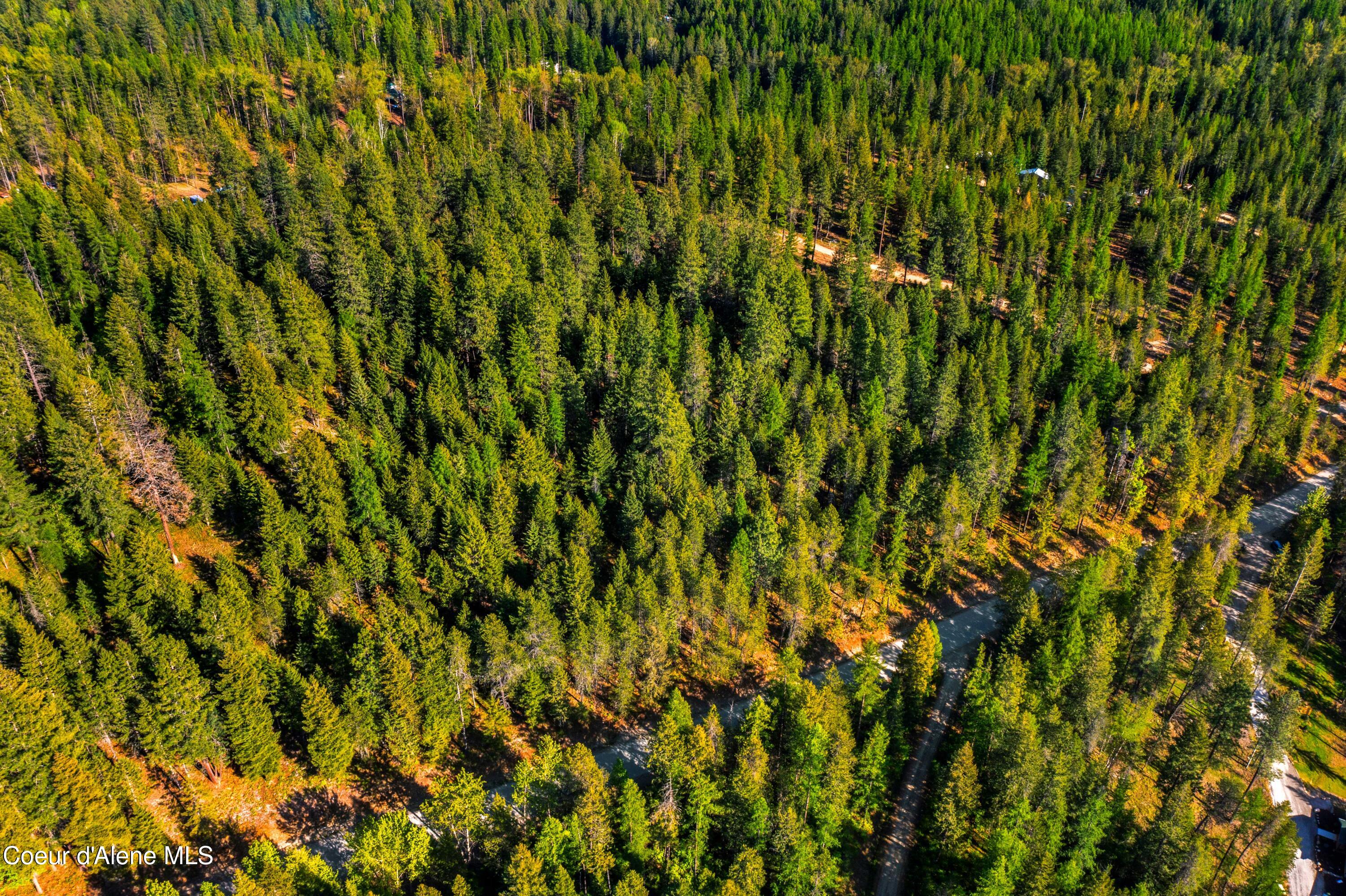 NNA Gold Mountain Drive Terrace, Sagle, Alaska image 21