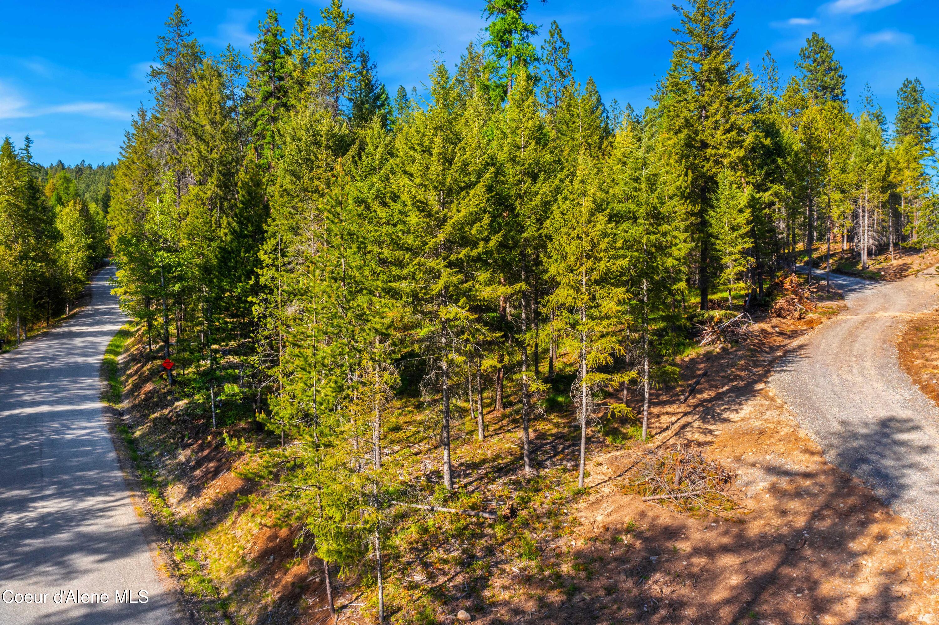 NNA Gold Mountain Drive Terrace, Sagle, Alaska image 2
