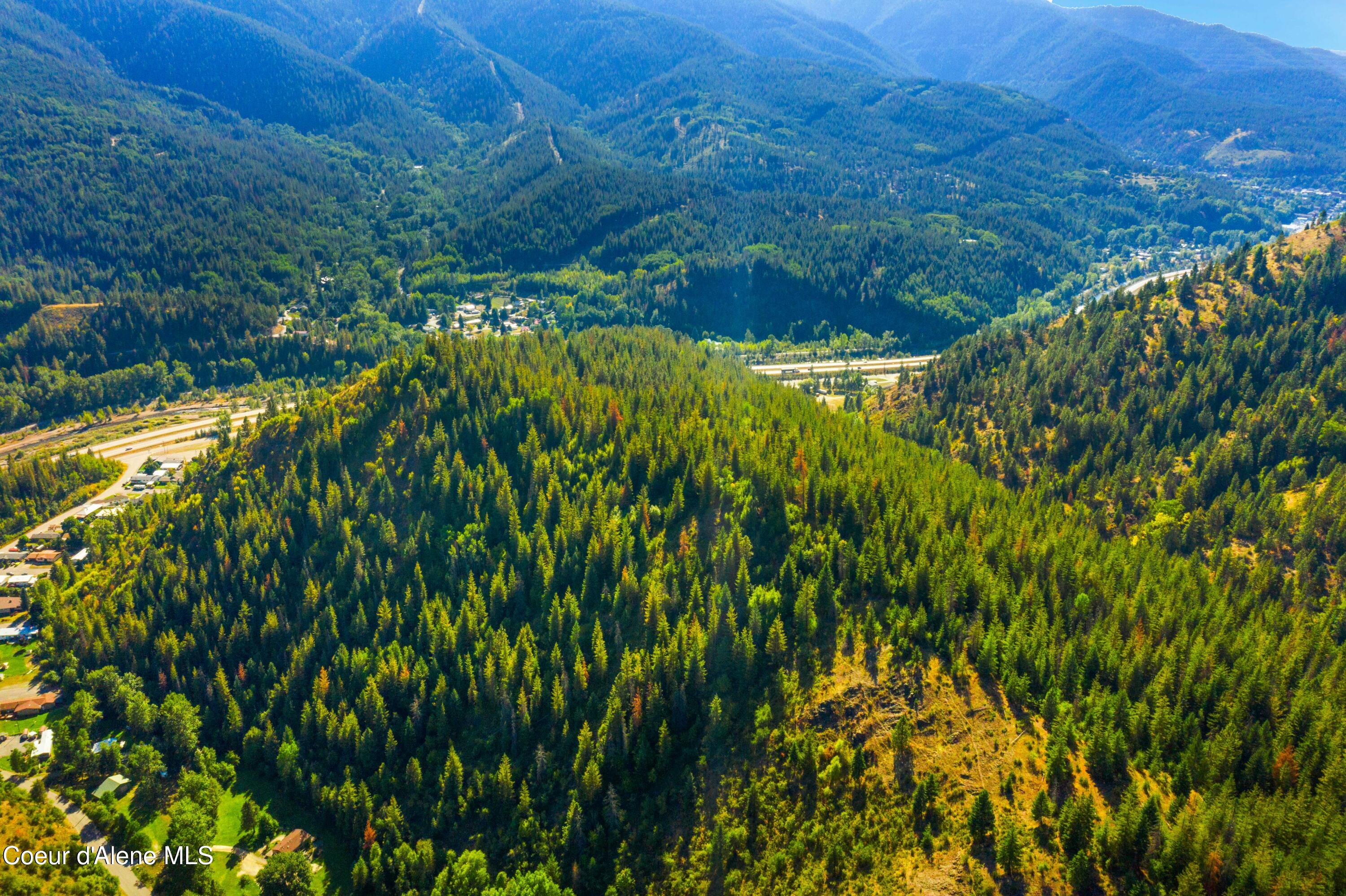 122 Acres in Silver Valley