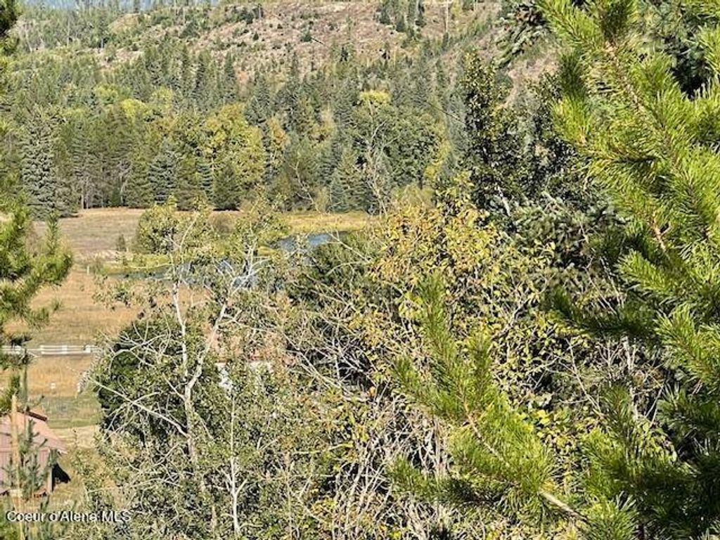 Photo of NKA Gleason McAbee Road Road, Priest River, ID 83856 (MLS # 26-4084)