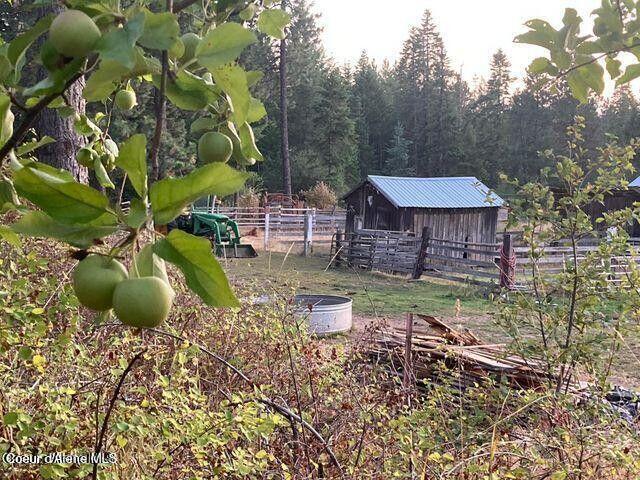 120 Moses Mountain Ln, Tensed, Alaska image 7