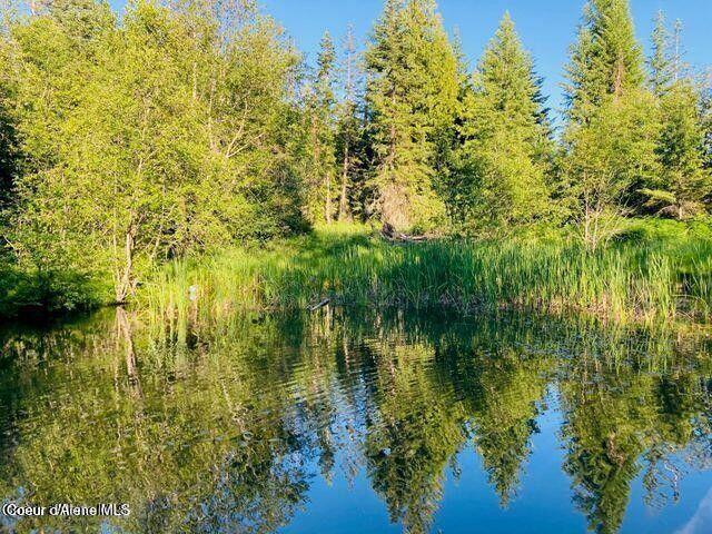 120 Moses Mountain Ln, Tensed, Alaska image 13