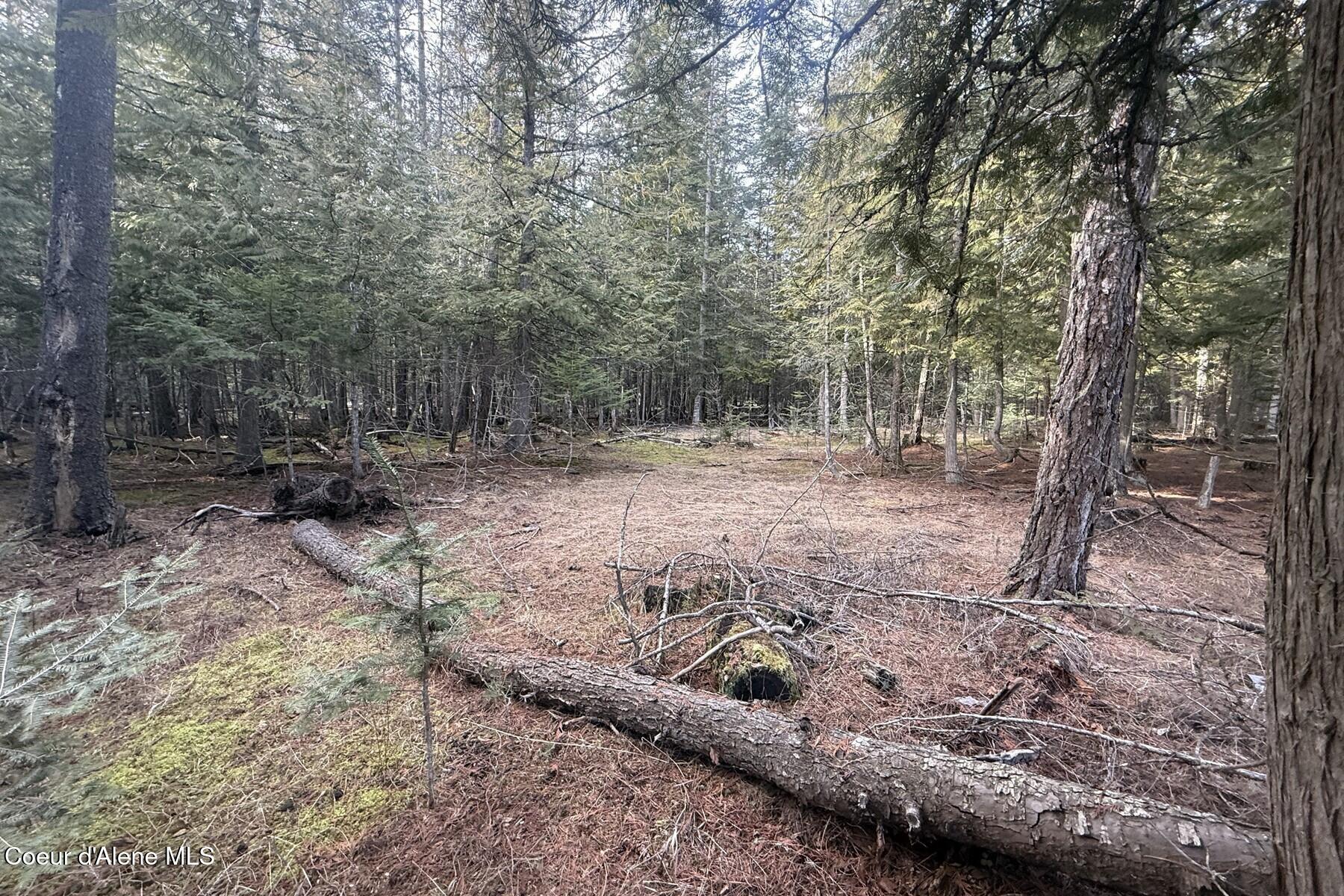 366 W Widgren Way, Clark Fork, Idaho image 24