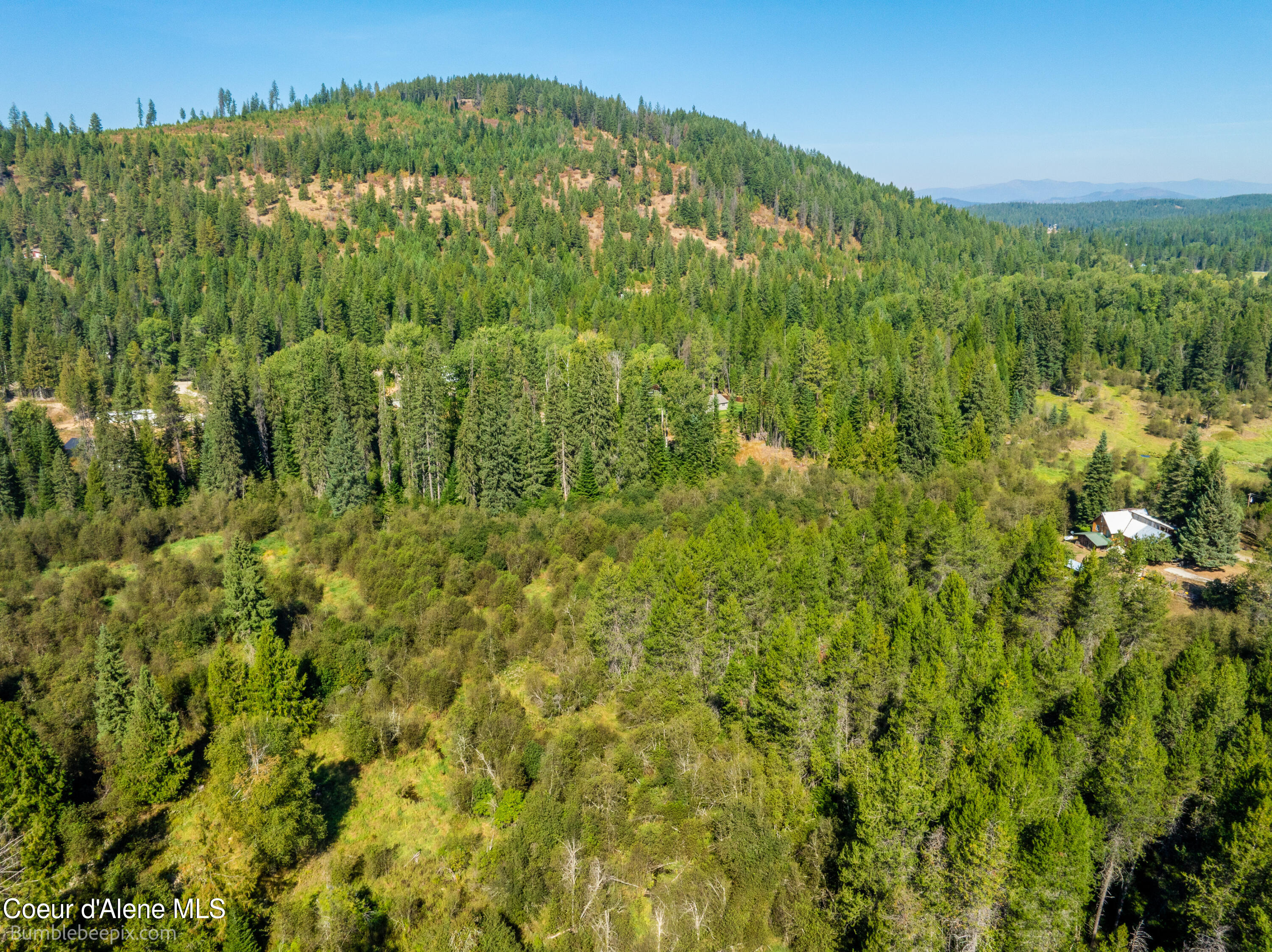 NNA Blacktail Road, Careywood, Idaho image 5