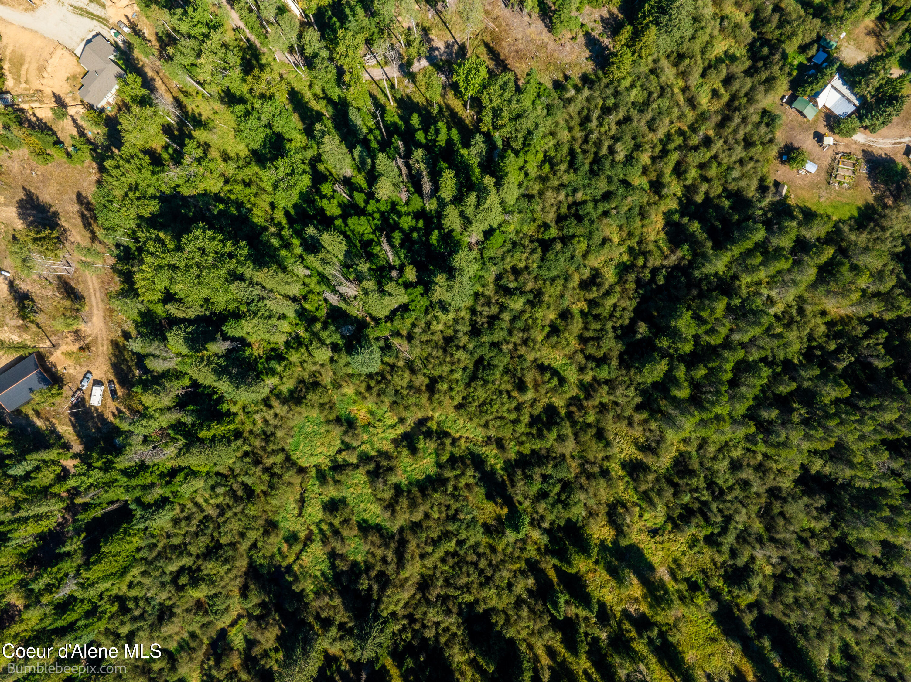 NNA Blacktail Road, Careywood, Idaho image 9