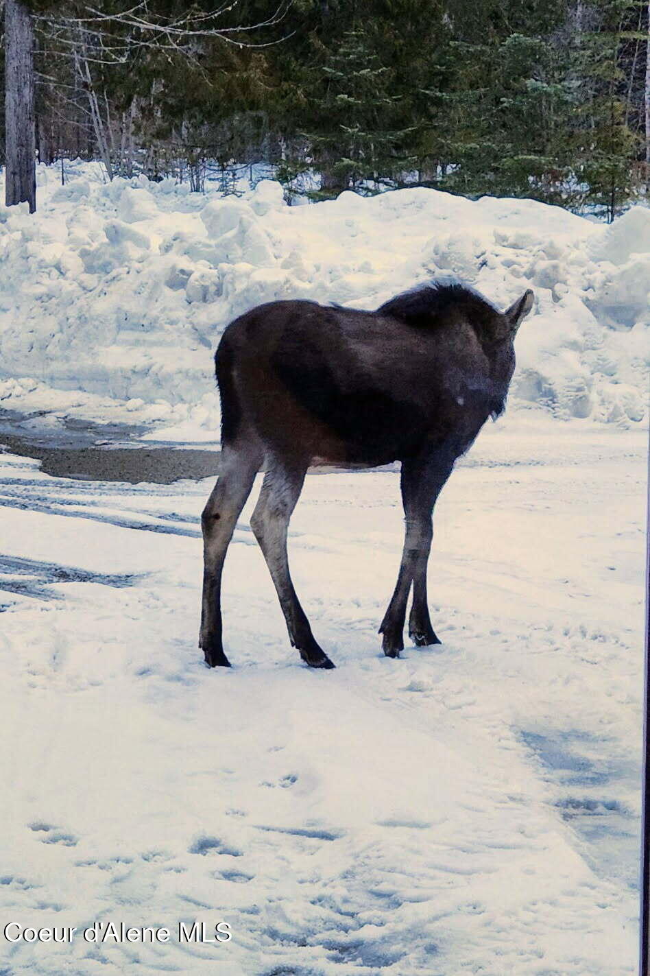 488988 Hwy 95, Sandpoint, Alaska image 41