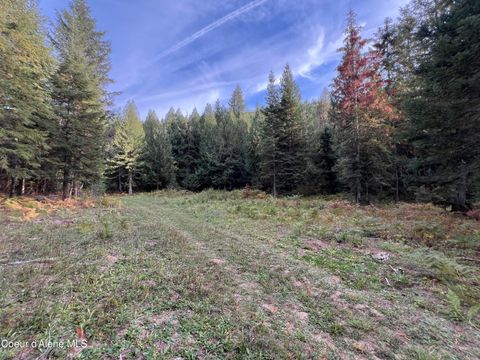 Vacant Land For Sale - 3507 Bear Creek Creek<br/> Kingston, ID 83839