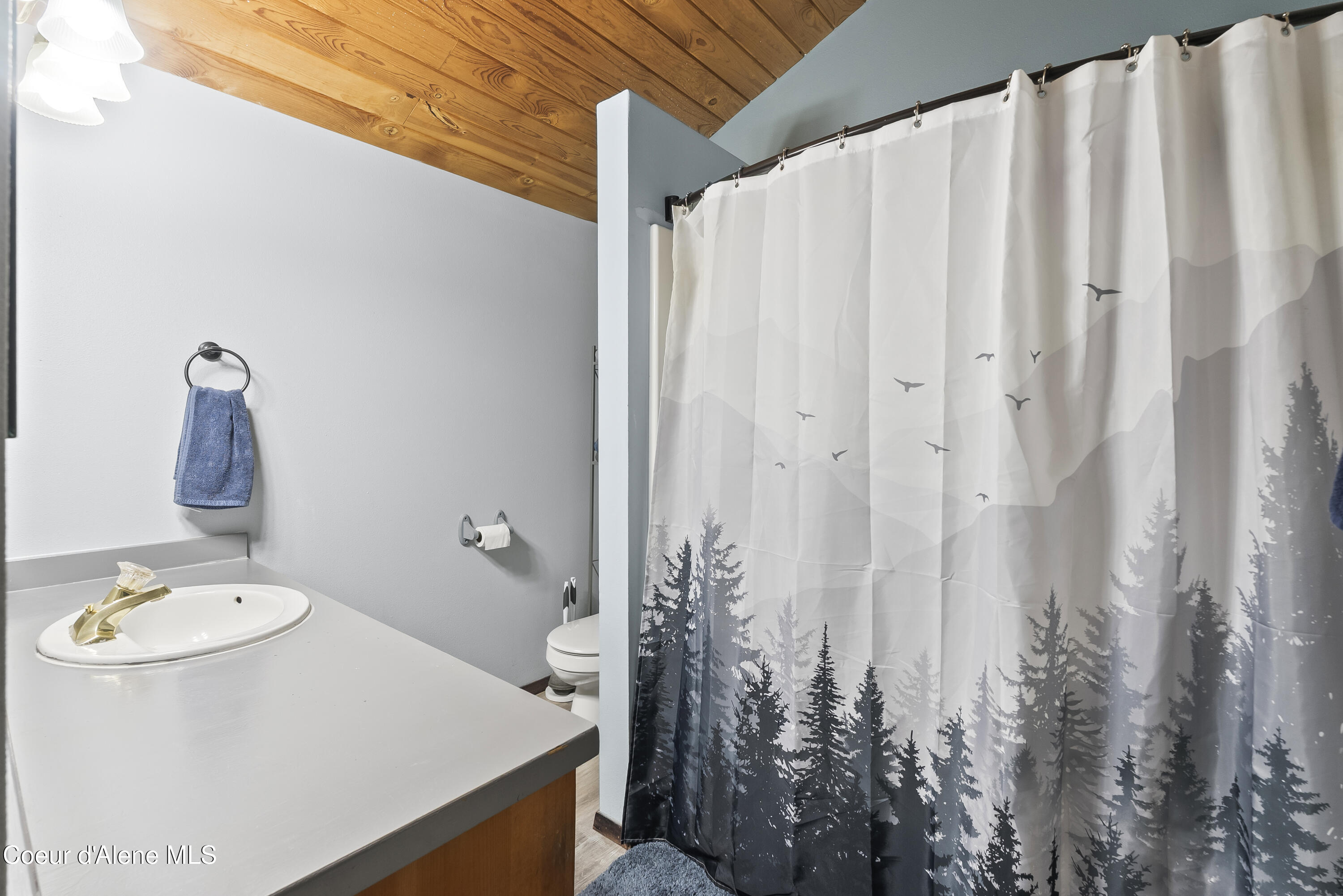 516 Lightning Creek Rd, Clark Fork, Alaska image 30