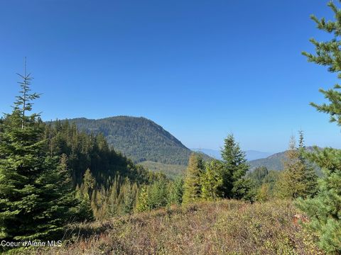 Vacant Land For Sale - TRACT 6 Usfs 2294<br/> Clark Fork, ID 83811
