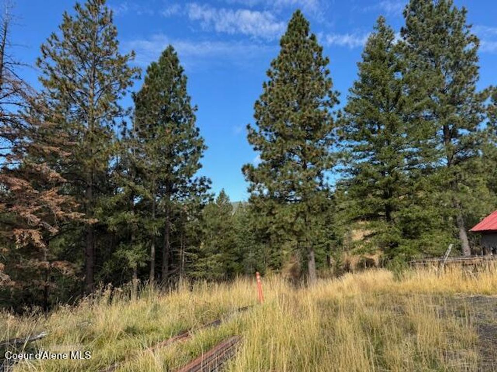 Photo of NKA Parcel 1 Dole Camp Road Road, Tensed, ID 83870 (MLS # 25-10078)