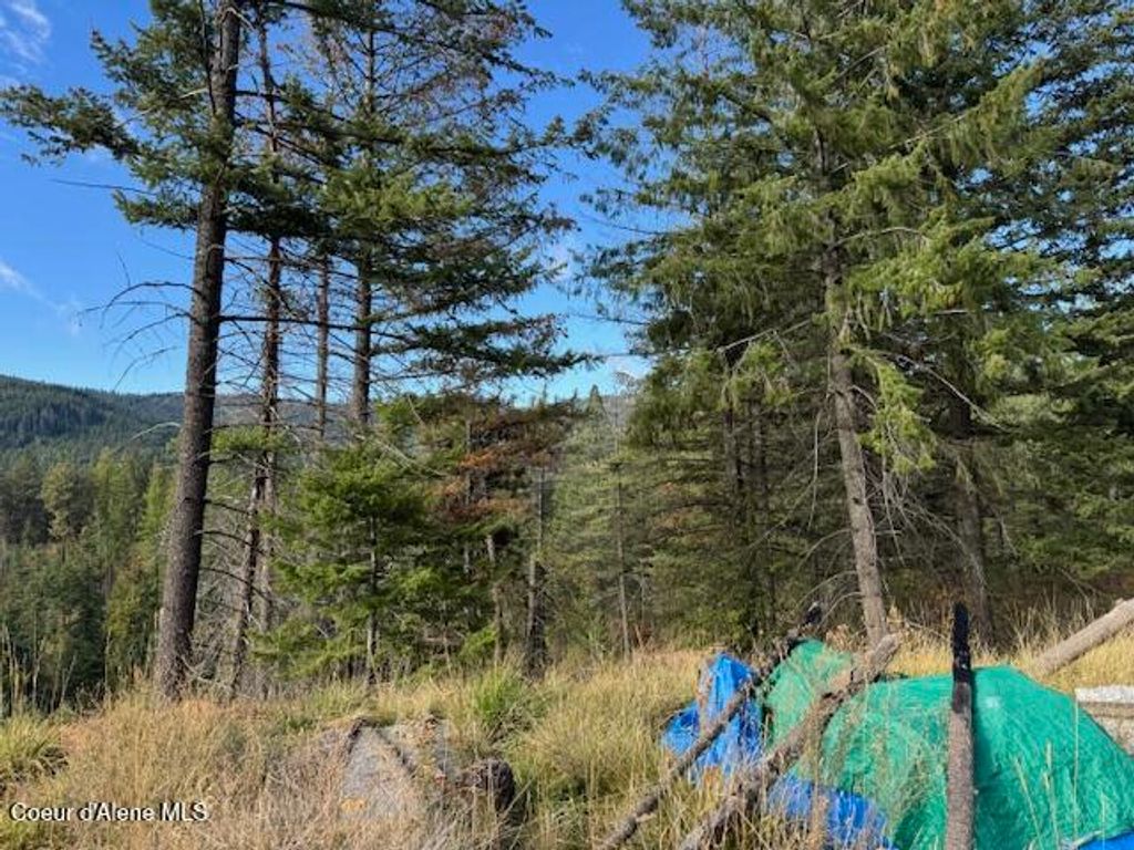 Photo of NKA Parcel 1 Dole Camp Road Road, Tensed, ID 83870 (MLS # 25-10078)