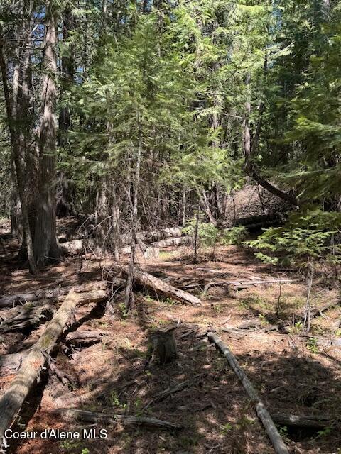 455 Love Lane, Fernwood, Idaho image 5