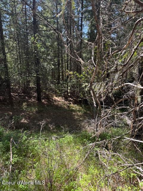 455 Love Lane, Fernwood, Idaho image 2