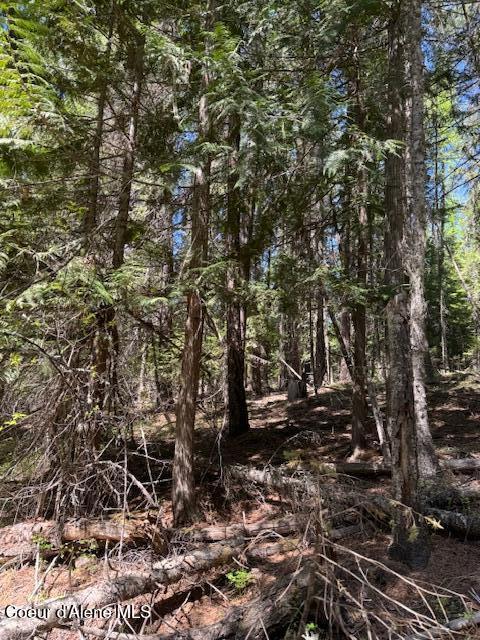 455 Love Lane, Fernwood, Idaho image 1