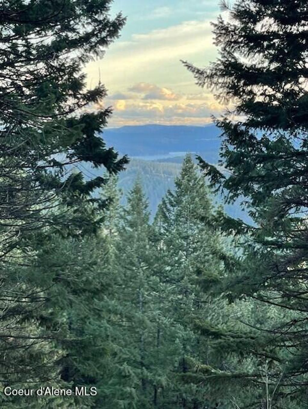 Photo of NKA PALOMINO, Coeur dAlene, ID 83814 (MLS # 26-3525)