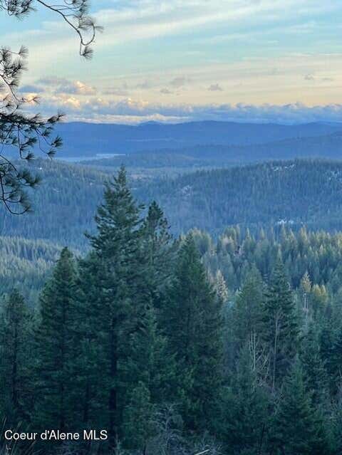 Vacant Land For Sale - NKA Palomino<br/> Coeur d'Alene, ID 83814