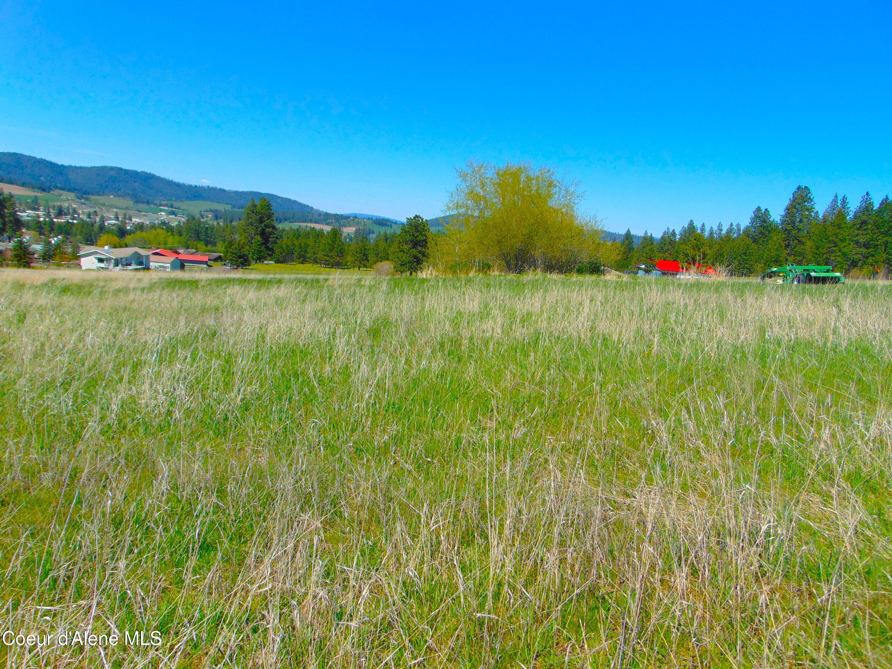 NA Thimbleberry Ln, Plummer, Idaho image 3