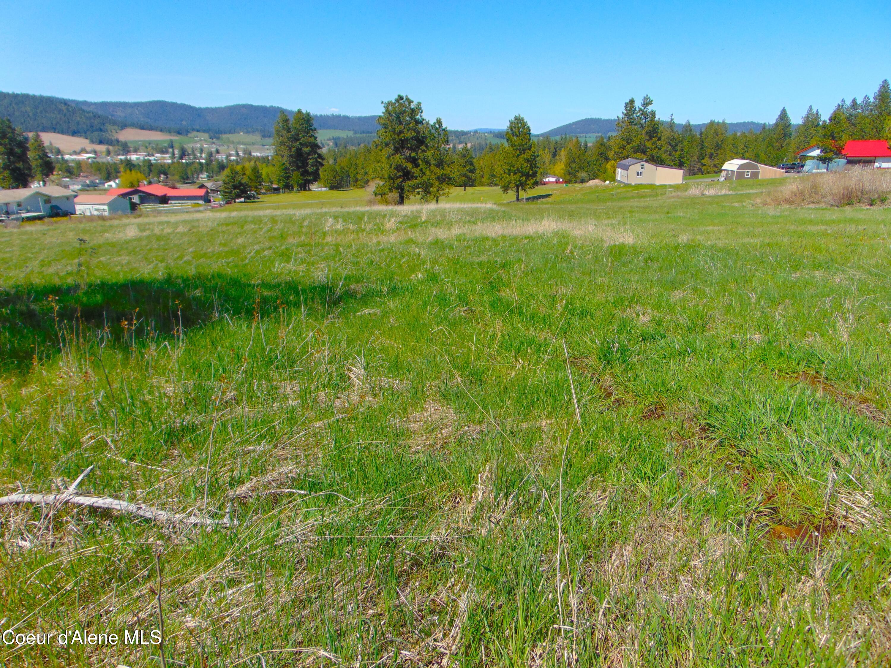 NA Thimbleberry Ln, Plummer, Idaho image 5