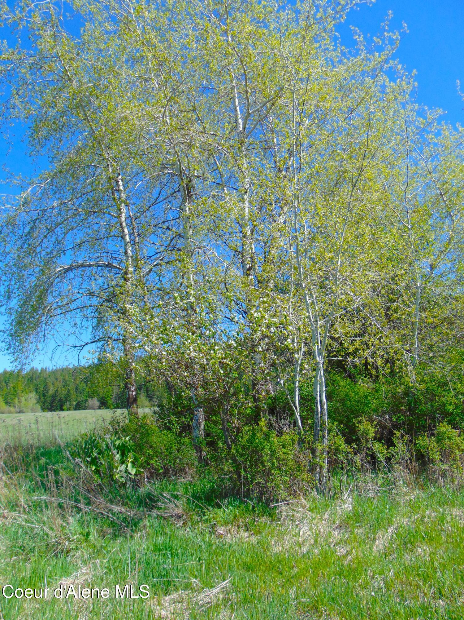 NA Thimbleberry Ln, Plummer, Idaho image 8