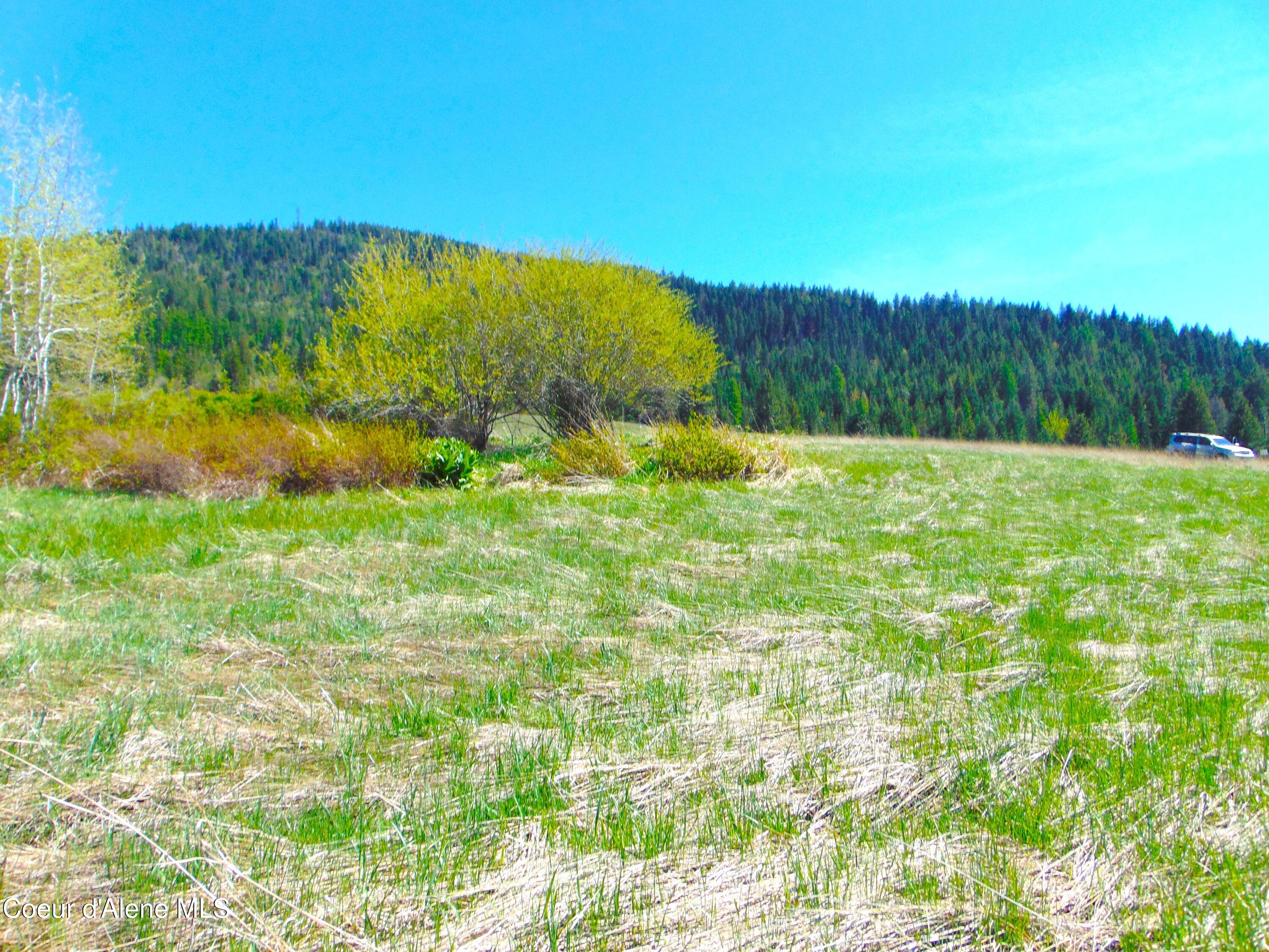 NA Thimbleberry Ln, Plummer, Idaho image 9