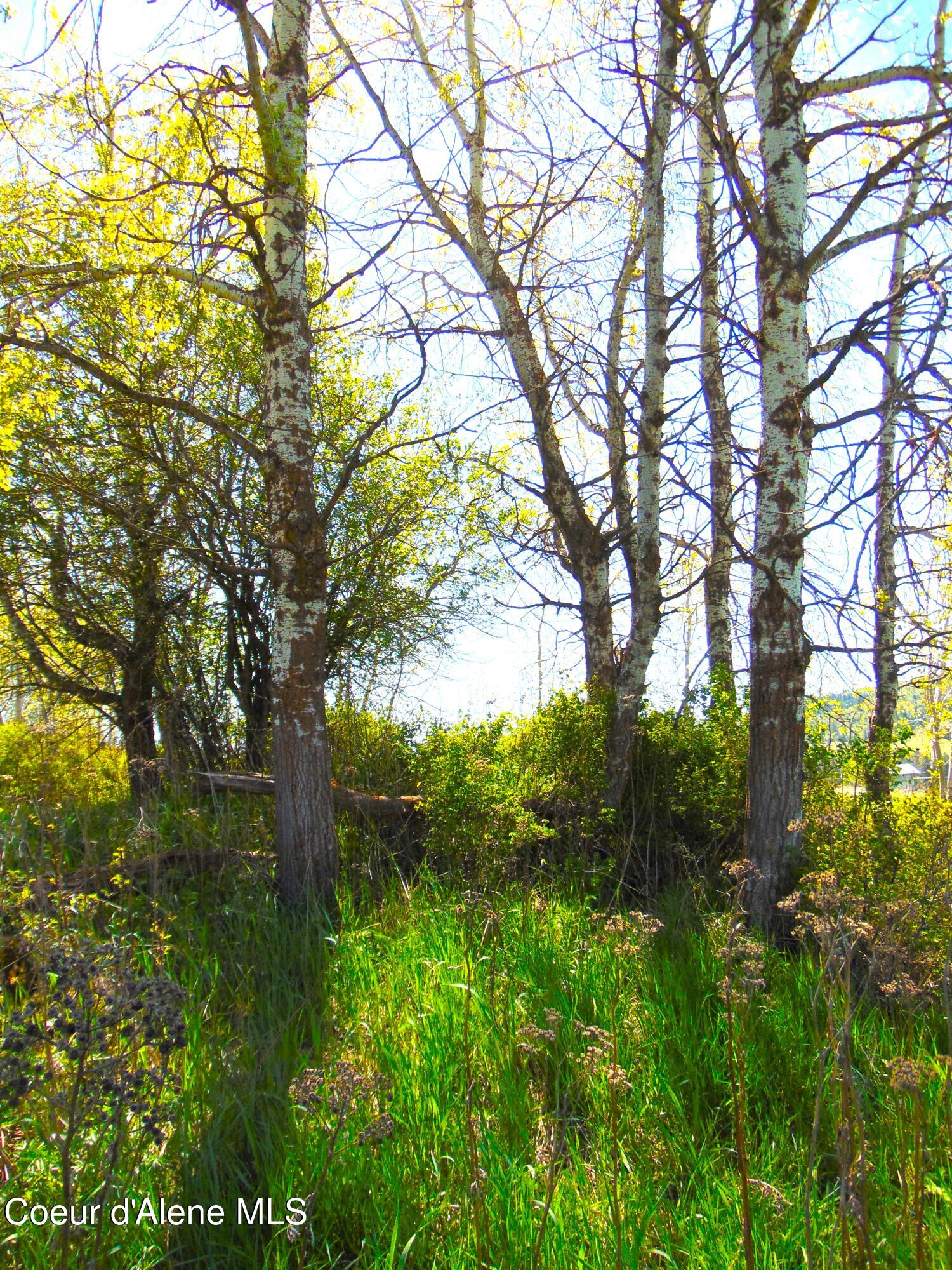 NA Thimbleberry Ln, Plummer, Idaho image 6