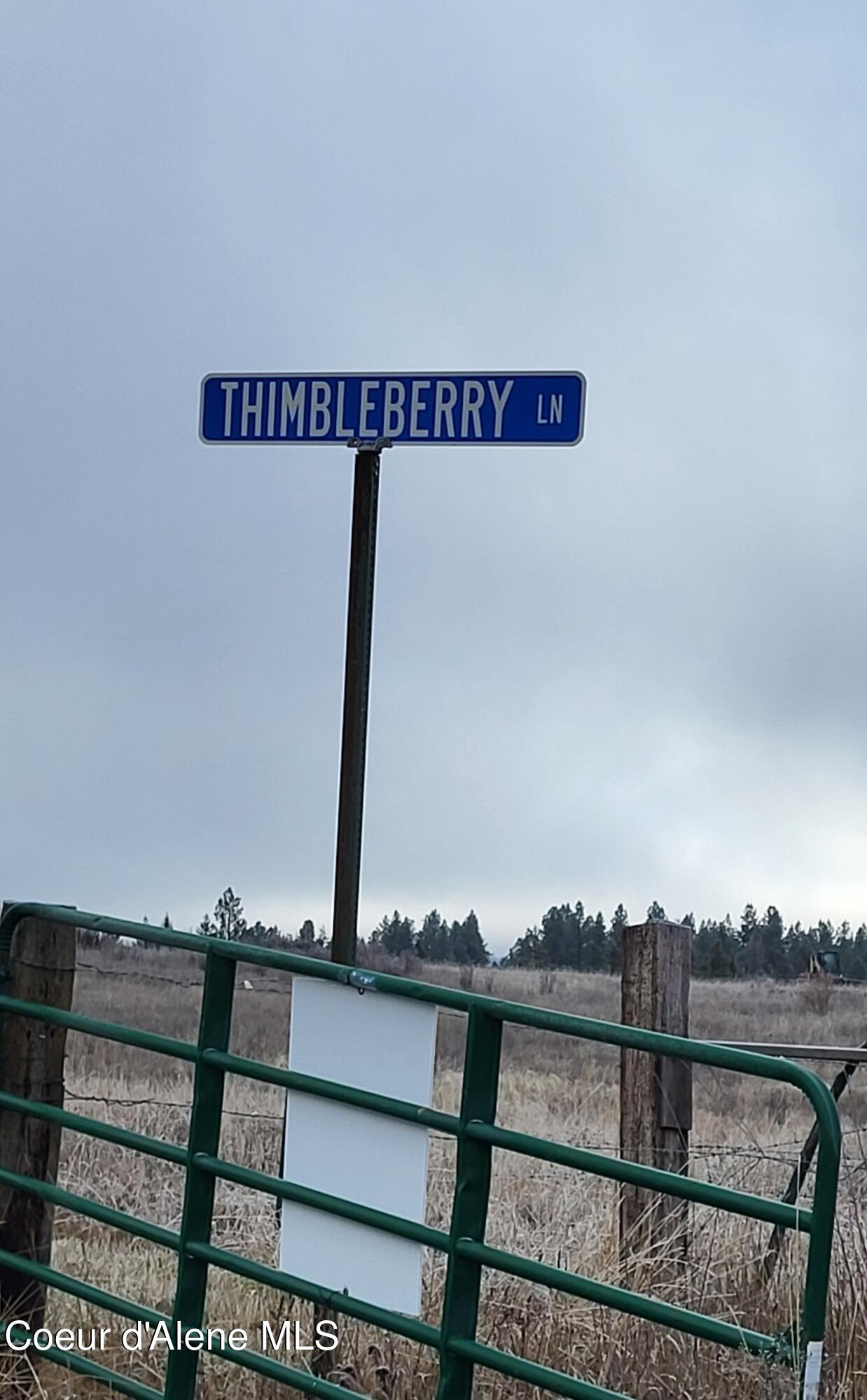 NA Thimbleberry Ln, Plummer, Idaho image 1