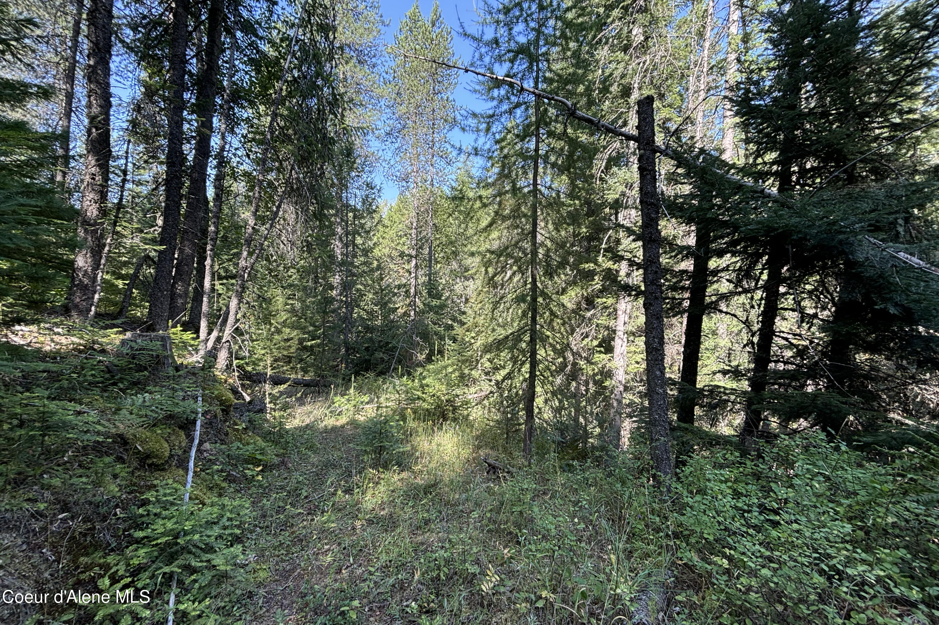 Lot 14 Ridge Way, Sandpoint, Idaho image 11