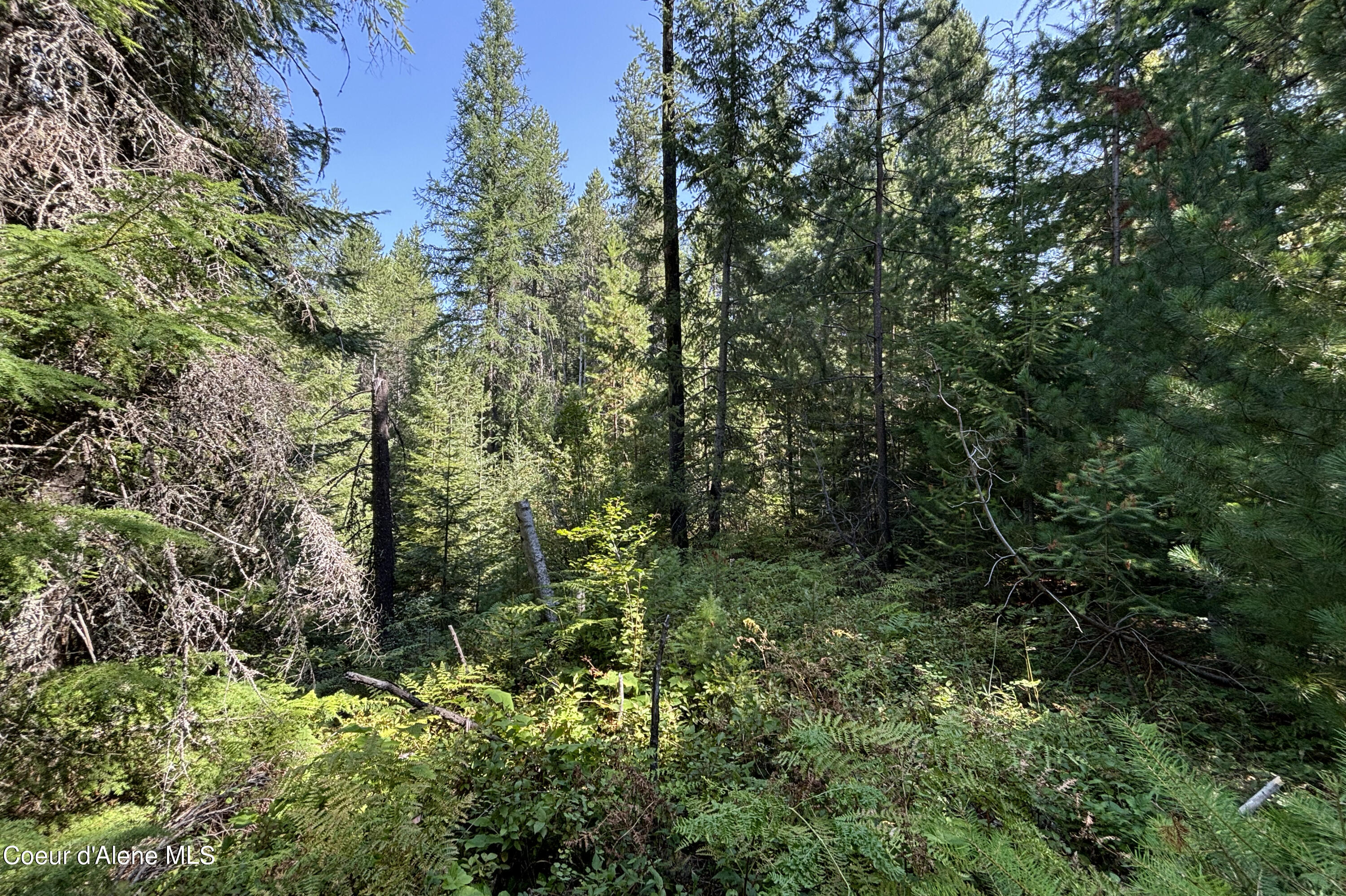 Lot 14 Ridge Way, Sandpoint, Idaho image 9