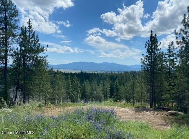 Lot 10 Spiral Ridge, Rathdrum, Idaho image 13