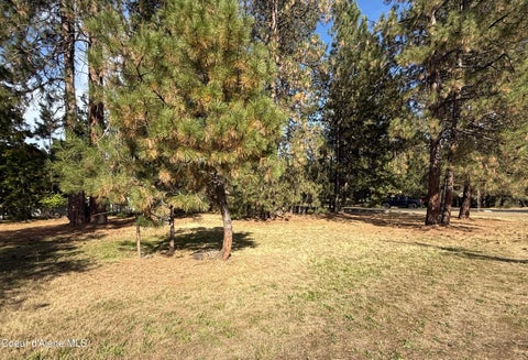 Vacant Land For Sale - NKA Lunceford<br/> Coeur d'Alene, ID 83815