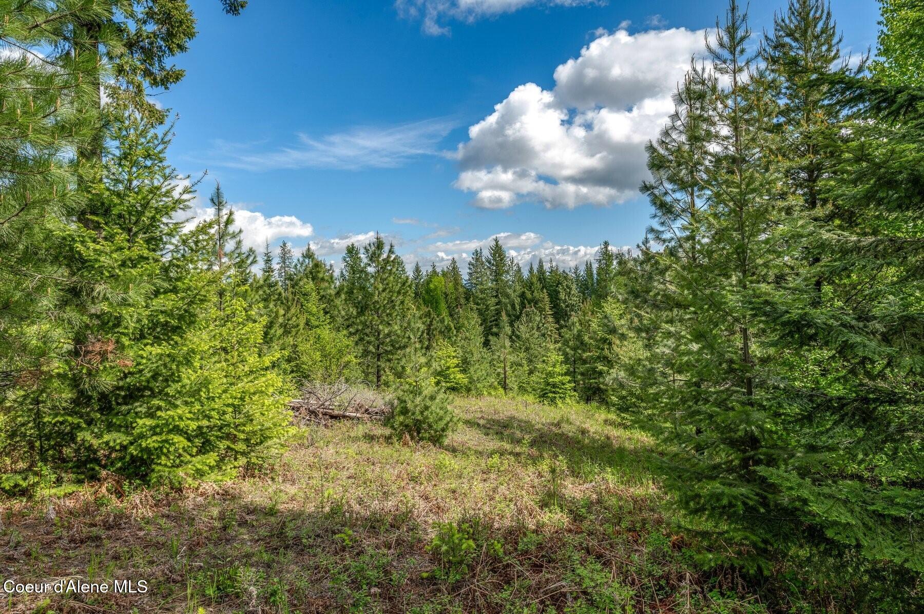 229 Ravenwood Dr, Sandpoint, Alaska image 7