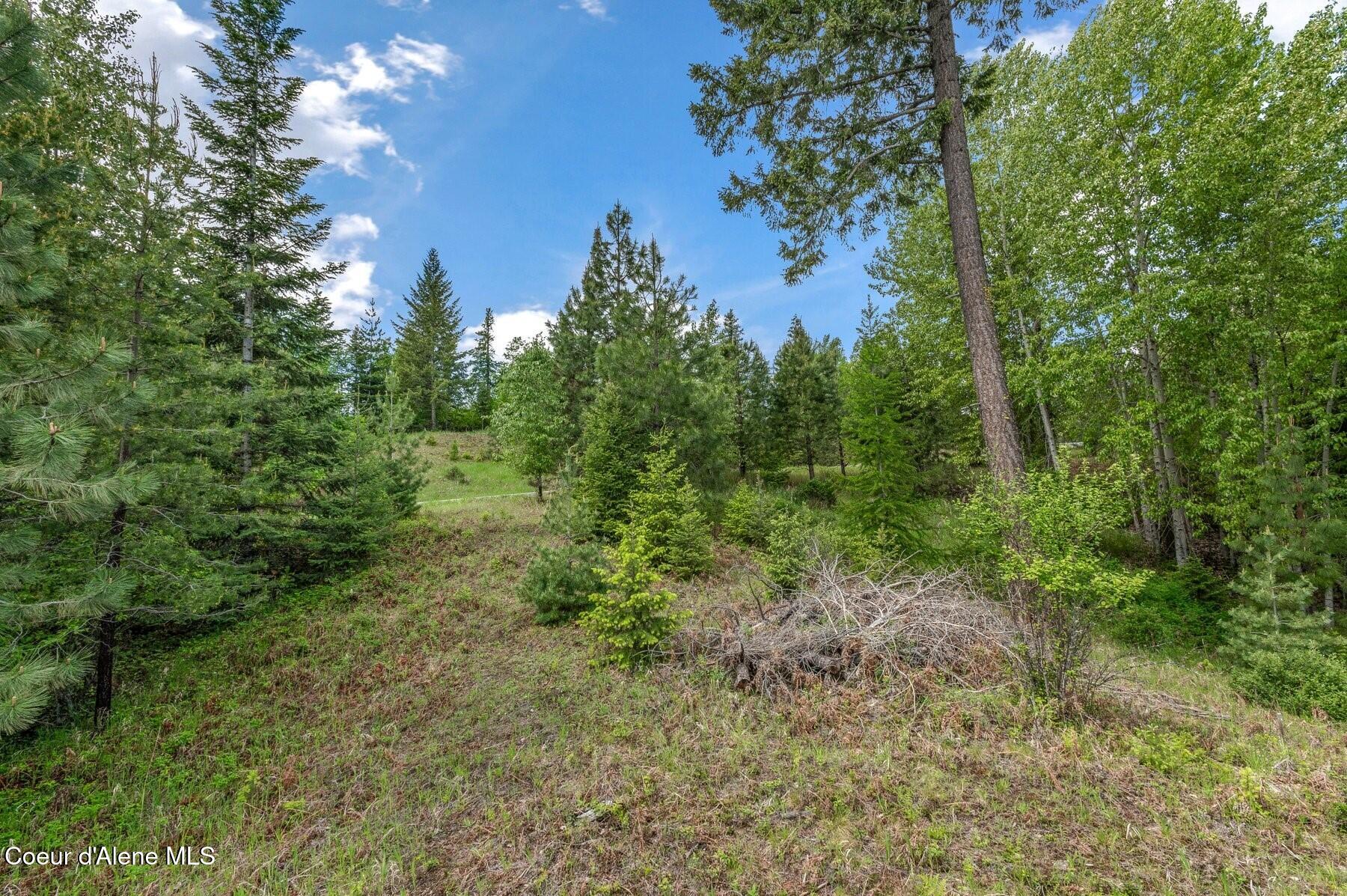 229 Ravenwood Dr, Sandpoint, Alaska image 10