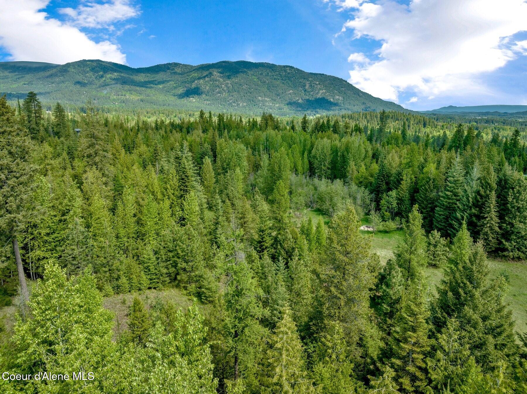 229 Ravenwood Dr, Sandpoint, Alaska image 23