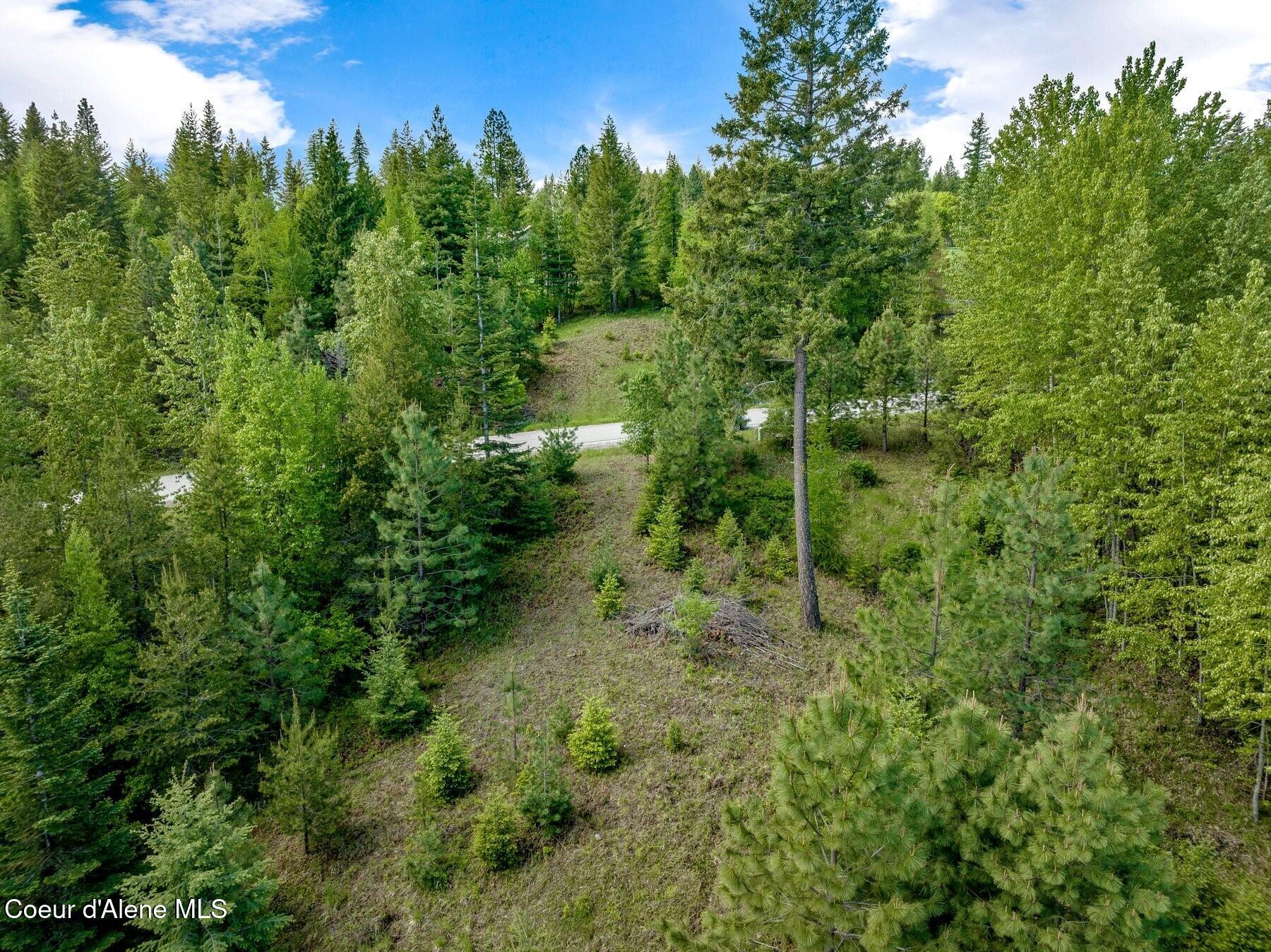 229 Ravenwood Dr, Sandpoint, Alaska image 21