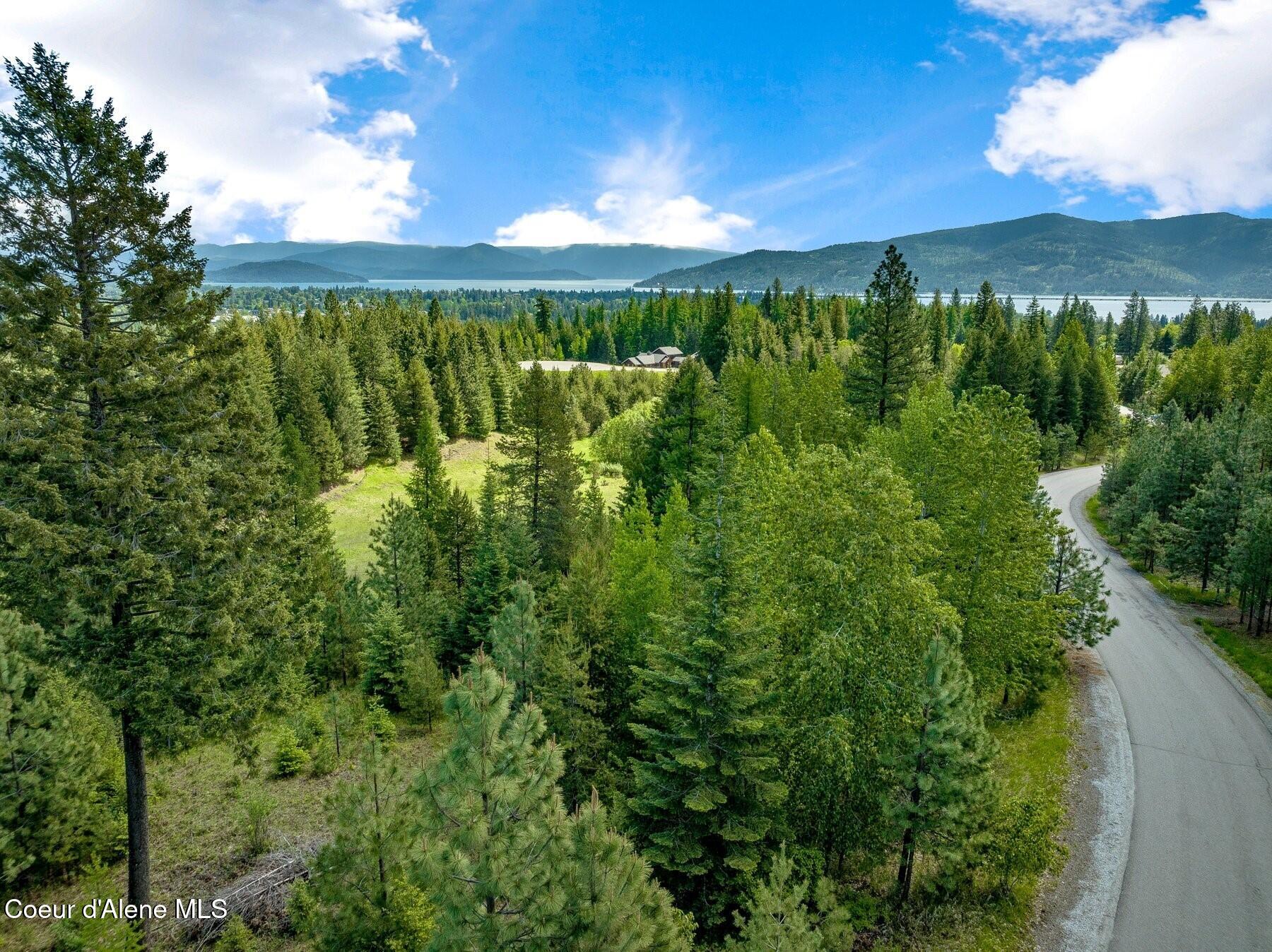 229 Ravenwood Dr, Sandpoint, Alaska image 3
