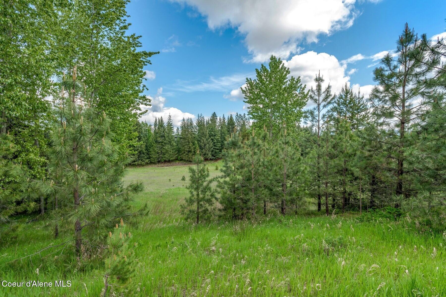229 Ravenwood Dr, Sandpoint, Alaska image 11